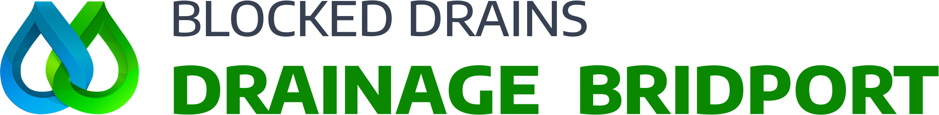 website logo